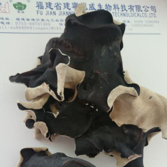 Dried White Back Black Fungus